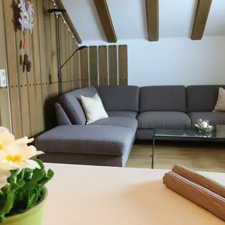 Haus Hubertus - Dachsrainblick - #117531 Todtnau