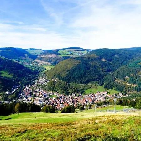Haus Hubertus - Dachsrainblick - #117531 Apartament *