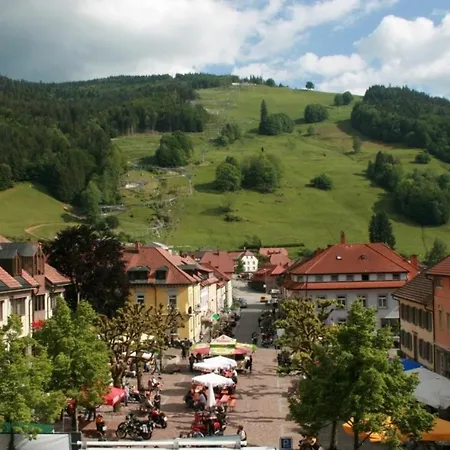 Apartament Haus Hubertus - Dachsrainblick - #117531